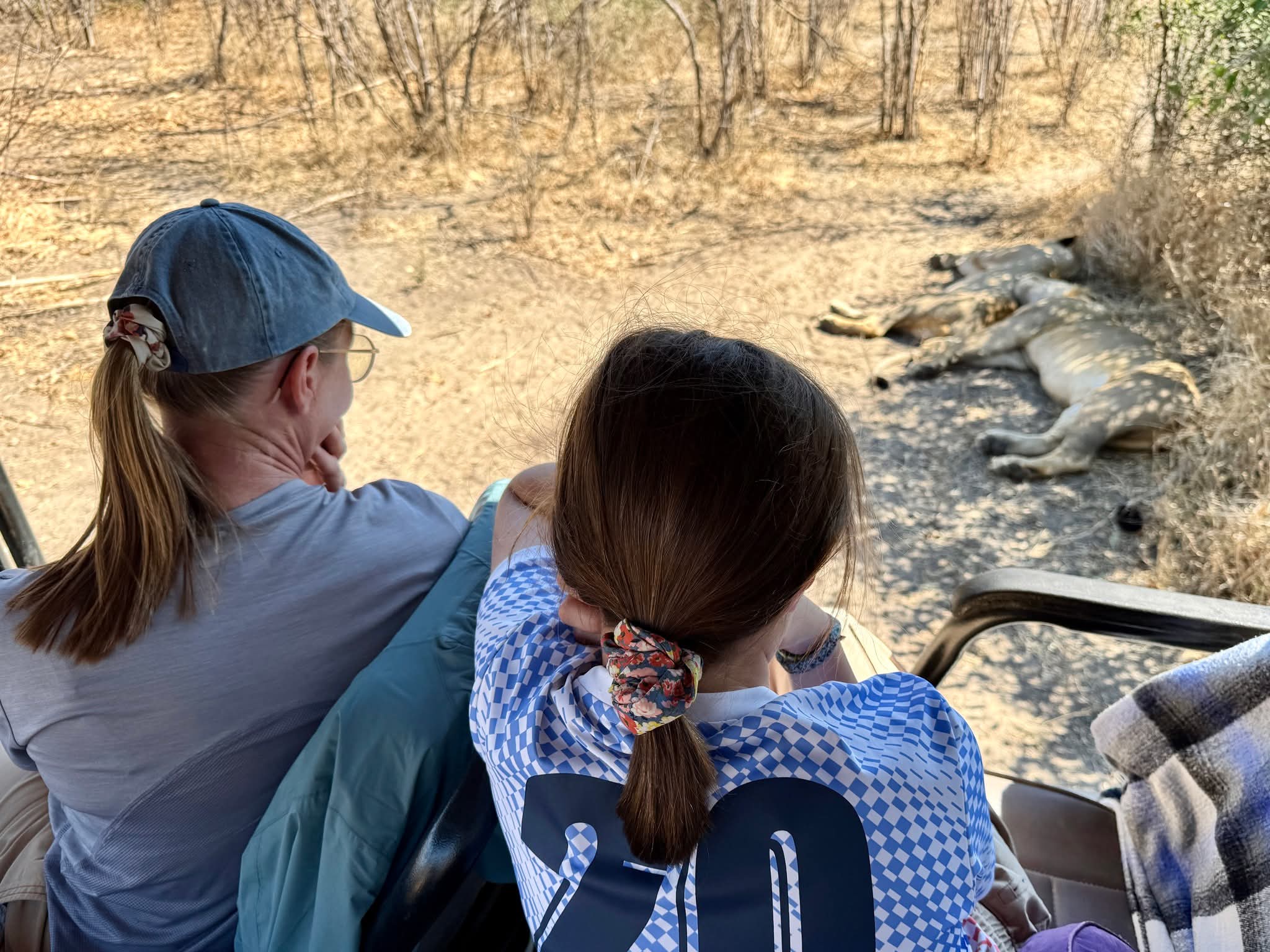 Khwai safari experience