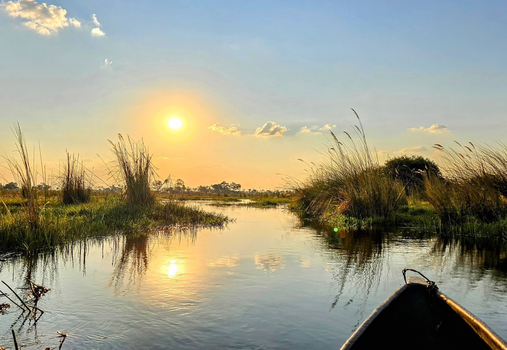 Okavango Delta landscape in Botswana