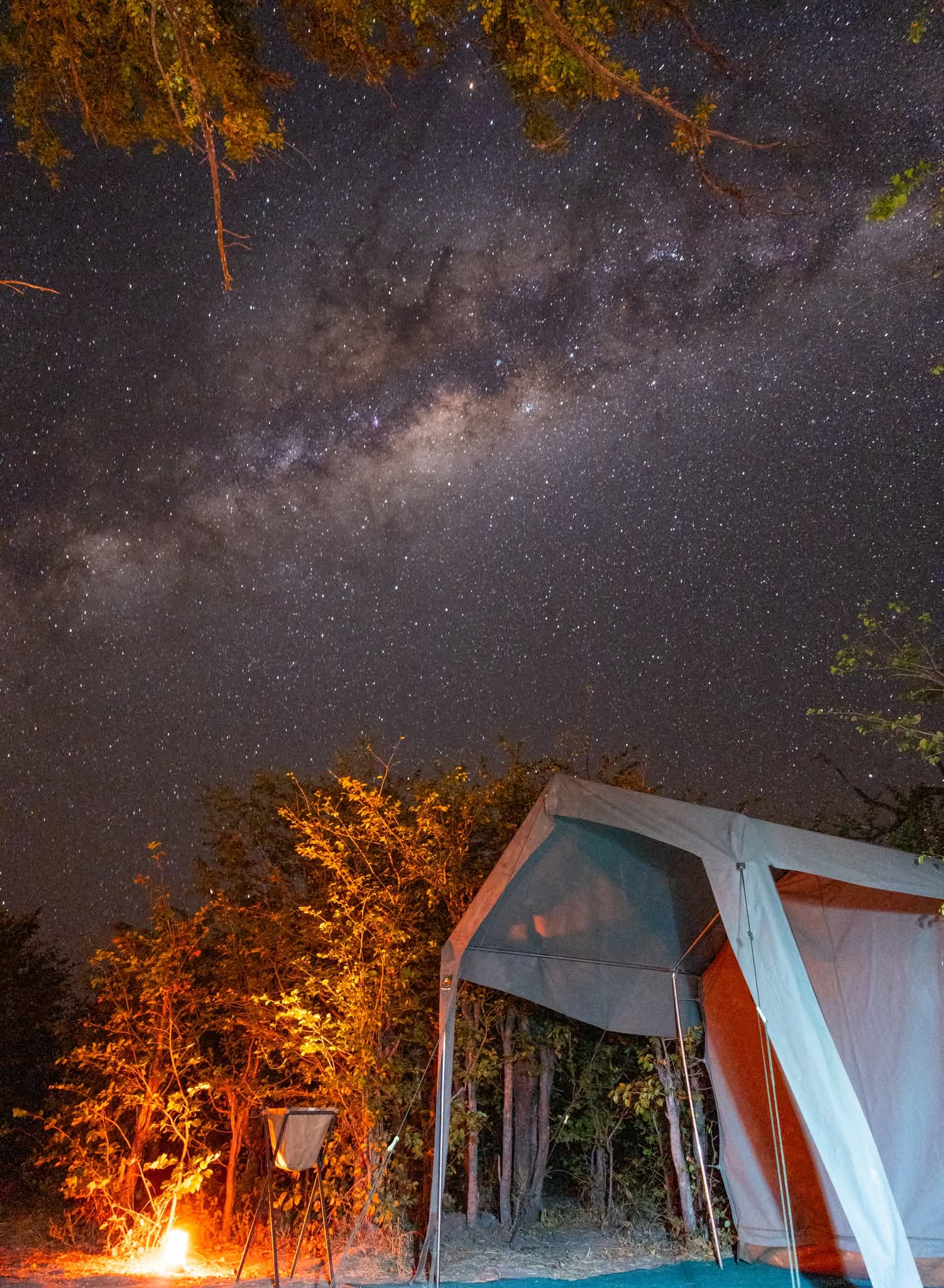 A fully serviced mobile safari camp in Botswana